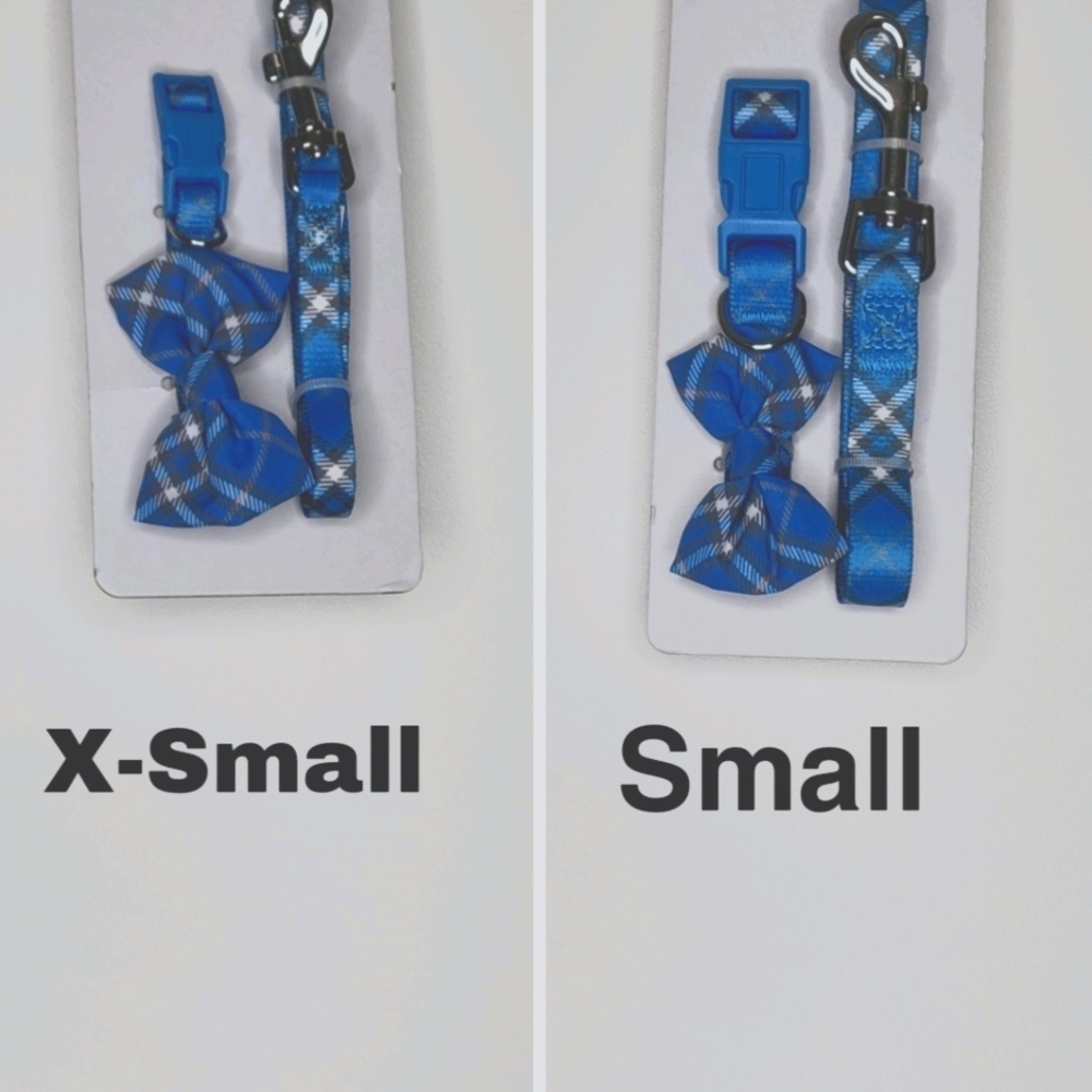 Collar & Leash Set